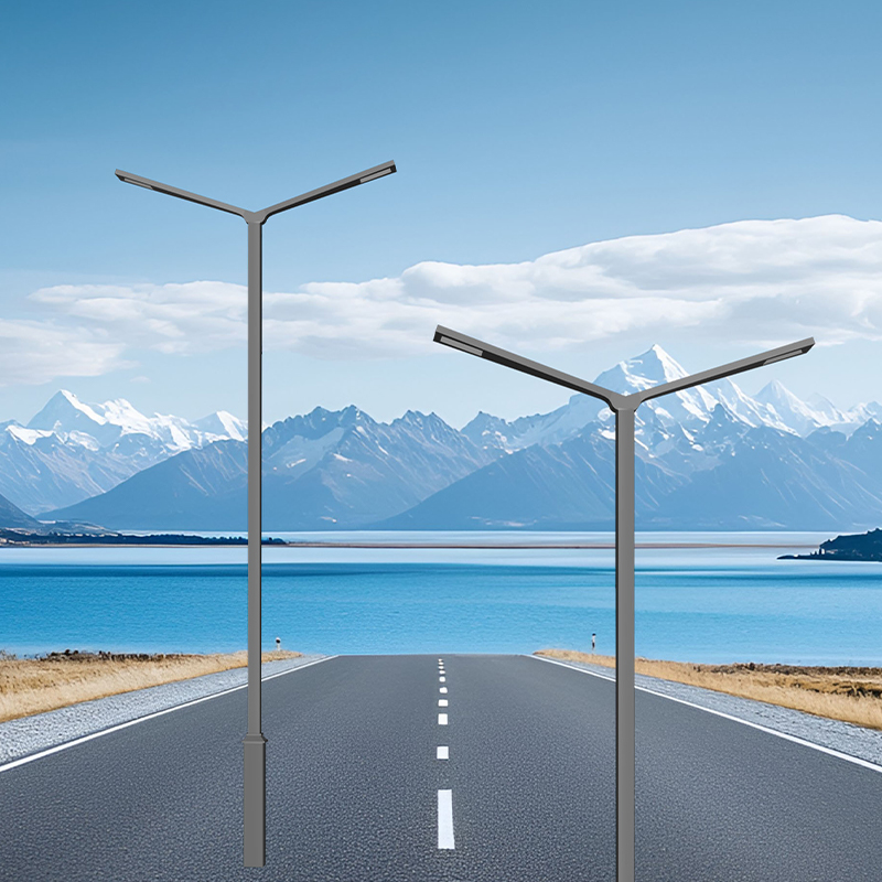 40-220W IP65 LED Street Light